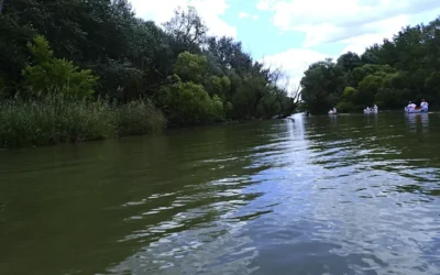 Kezdők túrája a Mosoni-Dunán