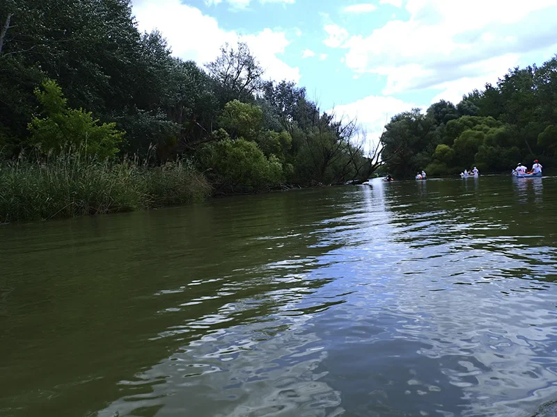 Kezdők túrája a Mosoni-Dunán